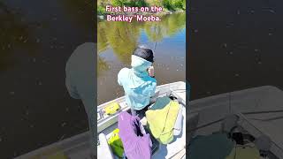 Fish can’t resist that maxscent tech.