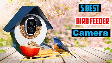 Best Bird Feeder Camera 2024 | [ TOP 5 ] Best Bird Feeder Camera 2024