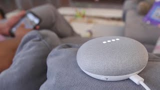 Examining smart speaker privacy concerns
