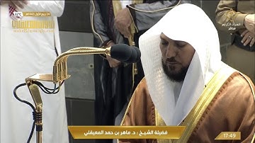 تلاوة بلمحات الكرد الفذ من سورة النور| مغرب 24 ربيع الأول 1442هـ| للشيخ د. ماهر المعيقلي