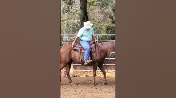 Wat is een correcte rollback?