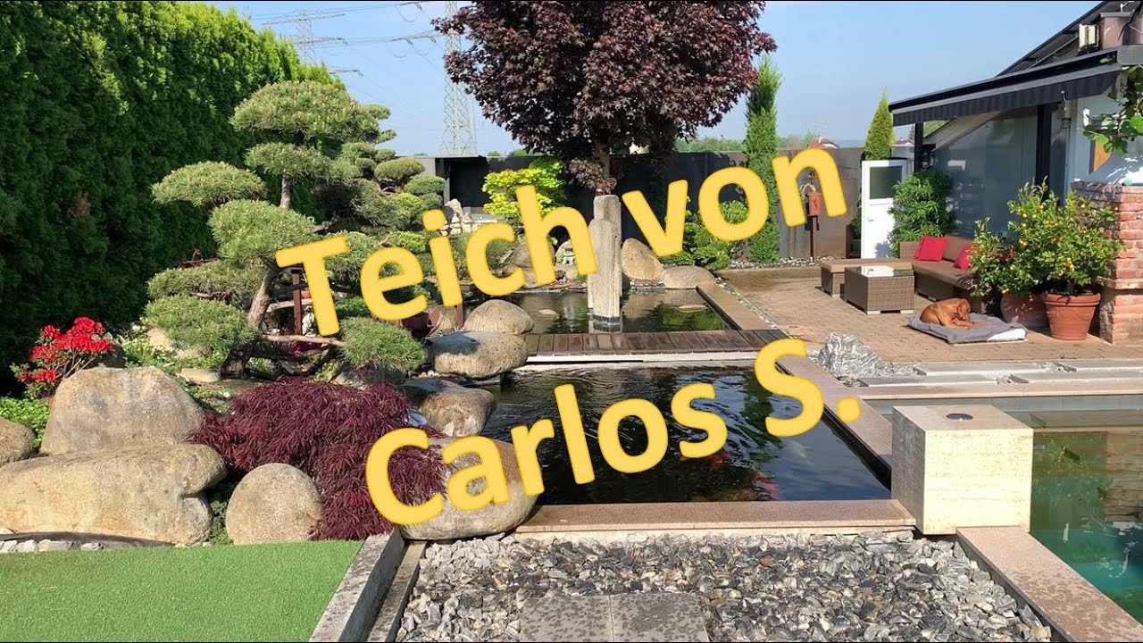 Teich von Carlos Trommelfilter in Kombination mit Bürstenfilter