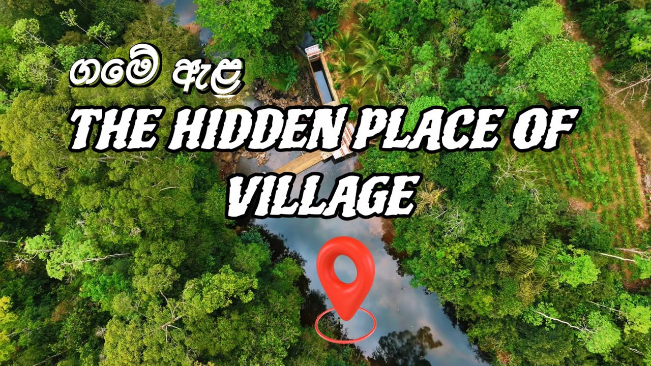 ගමේ ඇළ බලන්න යමු 🌊🌴| The Beautiful  Hidden Place of Village 🍂🍃 #dronephotography #dji
