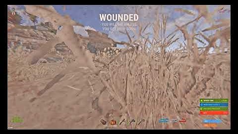 when your boy gets that FIRST AK on wipe day (Rust Shorts)