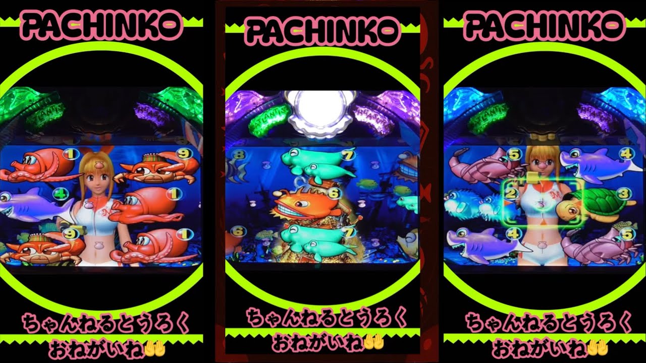 【大海物語スペシャル】2026年２月４日❶PACHINKO実機！2時間以上⏰ロング