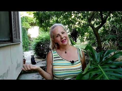 Video: Florarium - il tuo giardino tropicale personale