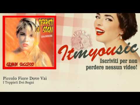 mp3 piccolo fiore dove vai teppisti mp3 piccolo fiore dove vai teppisti