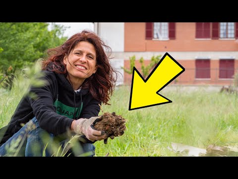 PREPARARE IL TERRENO