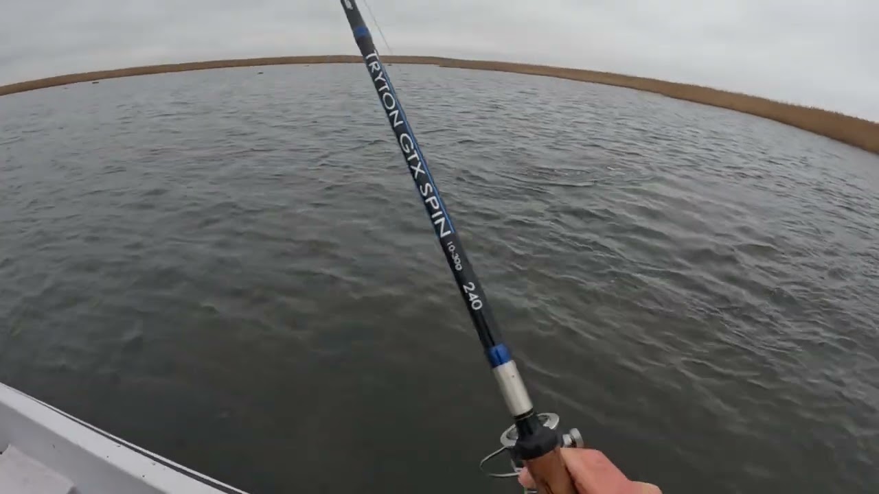 Igatahes oli tore päev SaaremaalGX013142