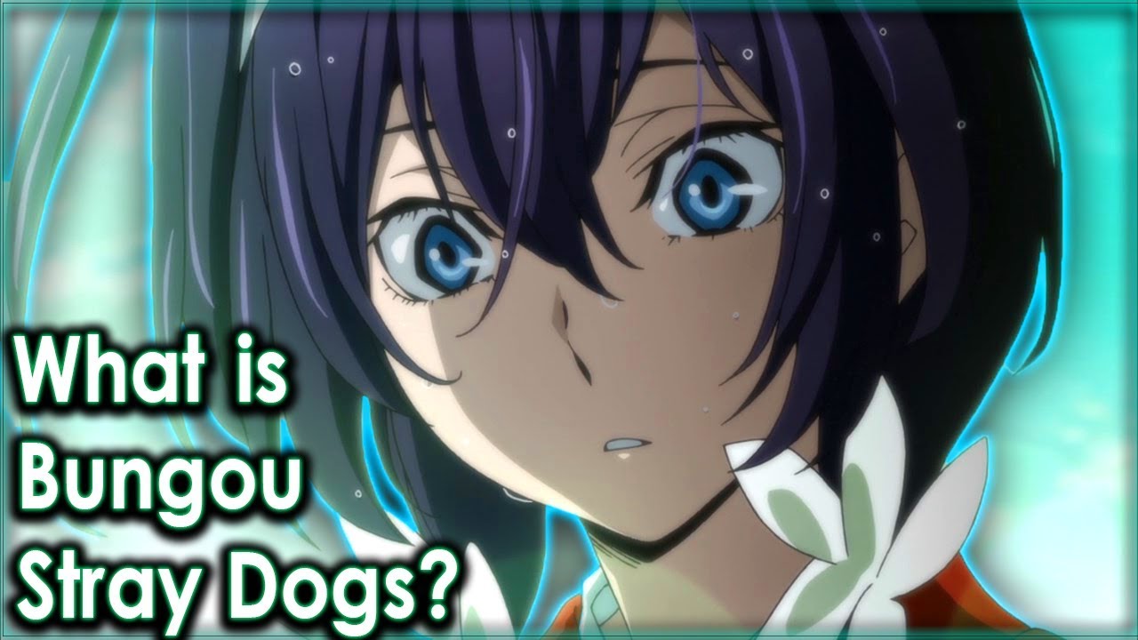 What is Bungou Stray Dogs? Season 3 Announced! - YouTube