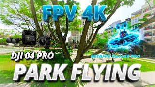 4k FPV Park Flying with BetaFPV Pavo20Pro in Công viên Hồ Nghinh -  Da Nang,  Vietnam🇻🇳