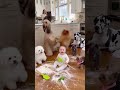 Cute Baby and Dog – Story 96 👶🐶