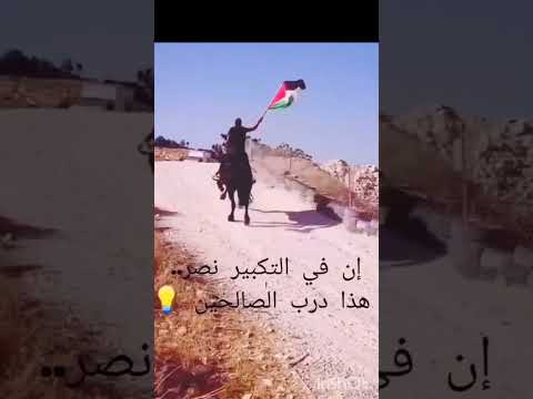 حتى اللحظة 6 أكتوبر و 7 أكتوبر الله أكبر غزه فلسطين المقاومه