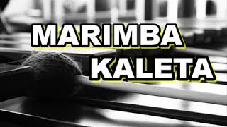 MARIMBA KALETA | (Tribal,Guaracha,Zapateo,Aleteo)