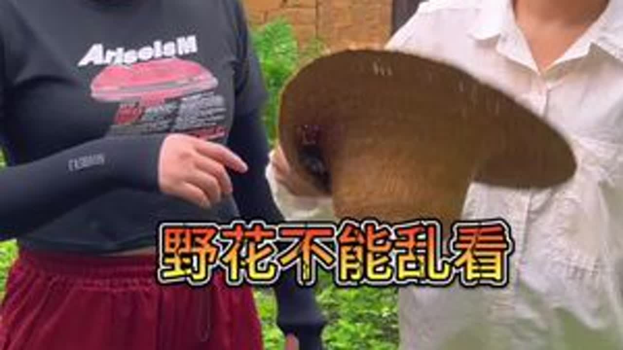 野花不能乱看 长舌妇无处不在#搞笑日常生活视频