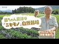 無肥料で野菜づくり 菌ちゃん農法のウネの立て方 ボカシは入れちゃダメ