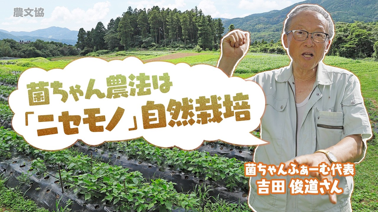 無肥料で野菜づくり　菌ちゃん農法のウネの立て方　ボカシは入れちゃダメ