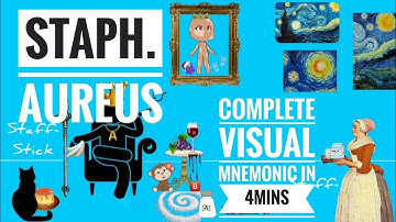 Staphylococcus Aureus quick REVIEW | Visual Mnemonic | Microbiology | 