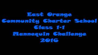 Class 1-1 Mannequin Challenge 2016