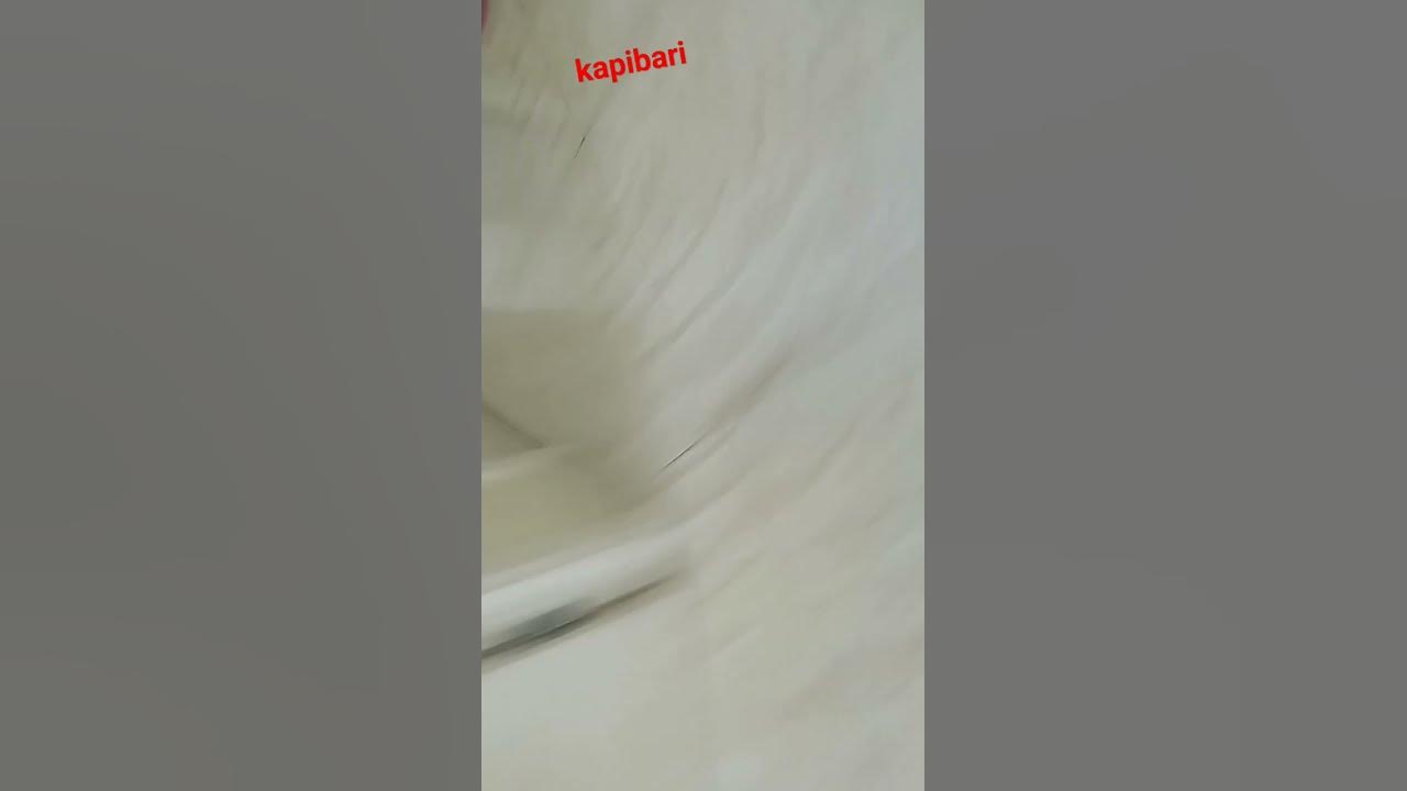 kapibari - YouTube