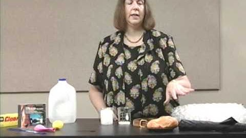 MWM Polymers Module Introduction