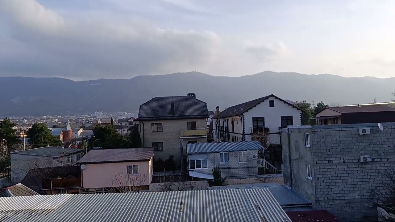 Колокольный звон, утро, Чайки