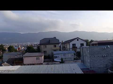 Колокольный звон, утро, Чайки