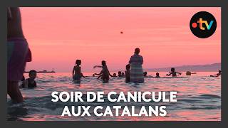 Canicule À Marseille, La Plage Des Catalans Reste Ouverte Toute La Nuit