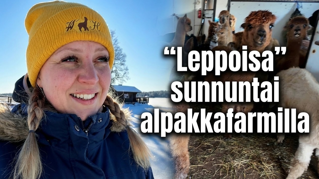 Kaksi viikkoa ilman vettä ja 20cm kinokset - Suomen talvi kysyy huumoria!