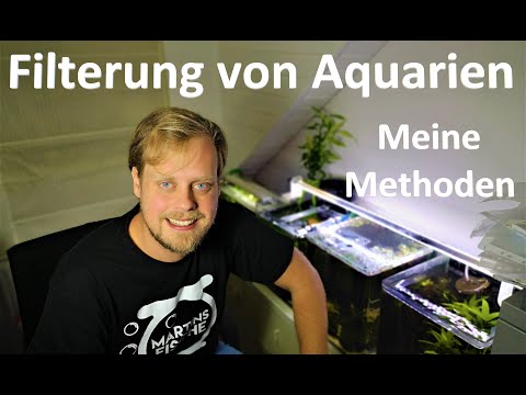 7 Filtertechniken für Aquarien - Welche Methoden setze ich ein?