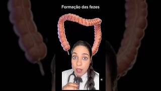 Já ouviu falar no ileo paralítico? #medicina #estudantedemedicina #curiosidades #saude #residencia