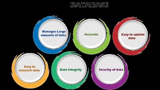 Food Donation System Database prototype cs619