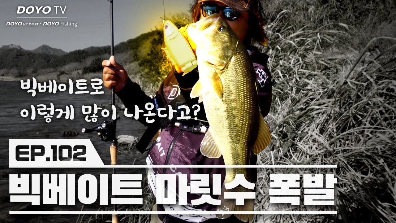 [도요TV ep.102] 덩어리 배스를 낚고 싶다면 빅베이트를!🐳