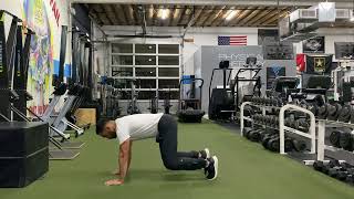 Bear Crawl Isometric Hold