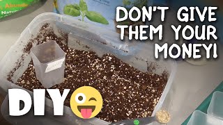 Best Homemade Seed Starting Potting Mix Test / Review: Miracle Gro, Espoma, Simple Organic DIY by AlboPepper - Drought Proof Urban Gardening 57,592 views 4 years ago 10 minutes, 58 seconds