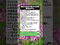 残金1500円で怒られる世界、意味わからん#金銭感覚 #モヤる #生活費#節約限界 #育児とお金 #現実#夫婦のズレ #生活費 #リアル#夫婦トラブル #限界
