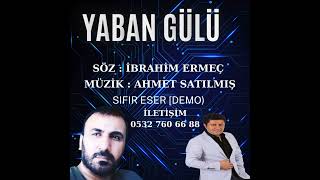 Ahmet SATILMIŞ  YABAN GLM Resimi