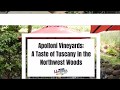Ref:j2u65AVZqXM Apolloni vineyards: a taste of tuscany in the northwest woods