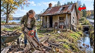 They Mocked the Widow Who Bought a Tiny House for $1 — Until She Discovered What Was Hidden Inside Guide