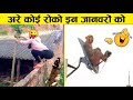 इन जानवरों से पंगा ना बाबा ना 🤣😜.... Funny Animals Video 2022 (Part-5)