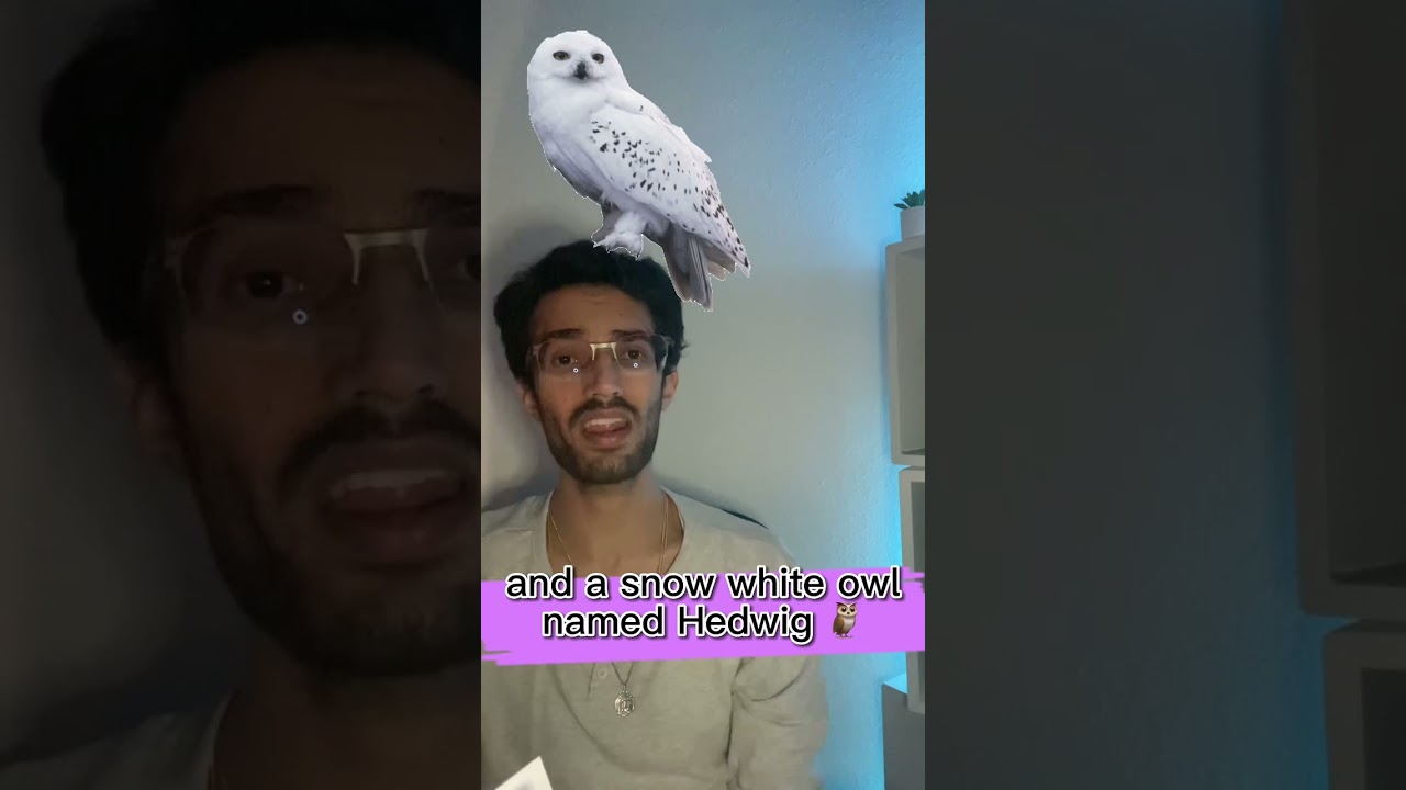 Part 7 | 🚫Why was it BANNED?🚫 Harry Potter