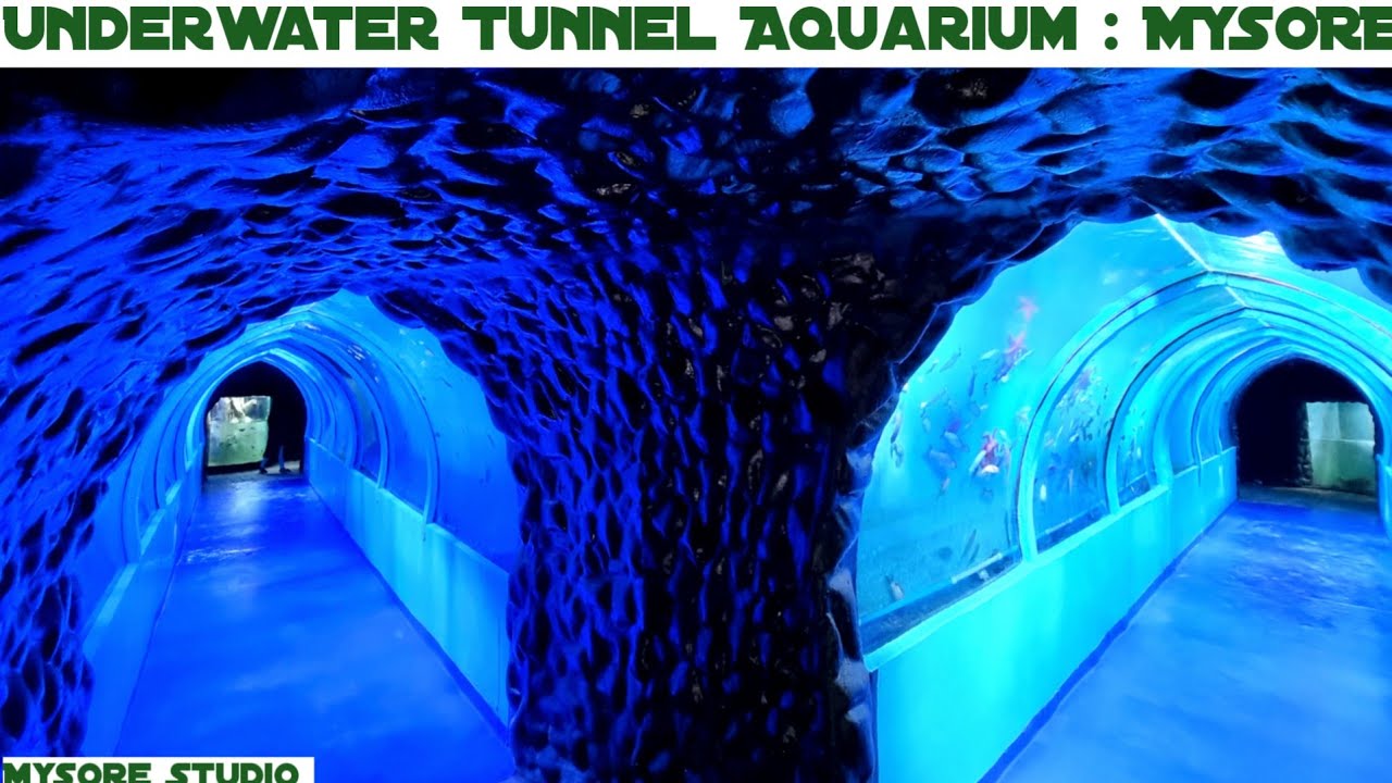 Mysore's First Underwater Tunnel Aquarium Lokaranjan Aqua World