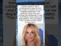 Britney Spears‘ Rep Fires Back at ‘Knife‘ Dinner Reports 🍔🔪 #trending #marriage #couple