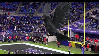 Baltimore Ravens are brought to life with Mixed Reality