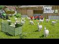 New EXCLUSIVE Animals On FS25 Feeding Cleaning And Production Farming Simulator 25 