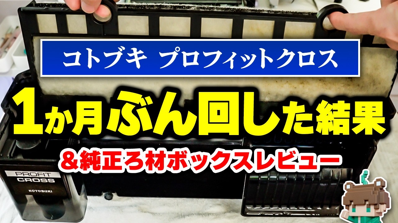 kotobukiプロフィットクロス１か月経過レビュー！純正ろ材ボックスでろ材カスタムも楽しんでみた【ビバアクア】#アクアリウム #熱帯魚 #コトブキ #外掛けフィルター