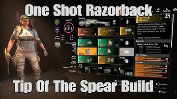 Division 2 One Shot Razorback Build Dark Hours Raid Speedrun