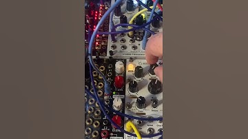 31. Synth patch fragment. #eurorack #modular #synth