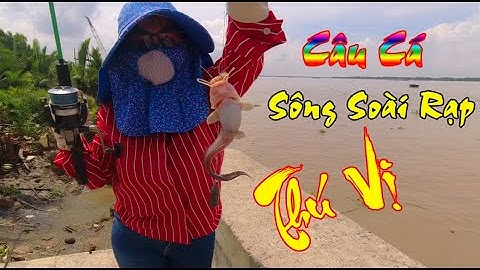 Câu Cá Sông Soài Rạp Cần Giờ Tự Nhiên Rất Thú Vị