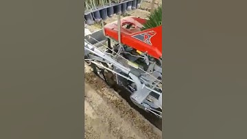 AMAZING MACHINE PLANTING ONIONS IN JAPAN